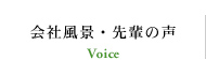 ЕiEy̐ Voice